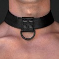 Lovetoy BONDAGE FETISH BLACK MATT COLLAR WITH LEASH obroża ze smyczą BDSM