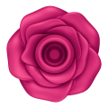 Satisfyer Stymulator łechtaczki PRO 2 CLASSIC BLOSSOM