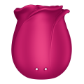 Satisfyer Stymulator łechtaczki PRO 2 CLASSIC BLOSSOM