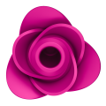 Satisfyer Stymulator łechtaczki PRO 2 MODERN BLOSSOM