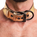 Lovetoy obroża BONDAGE FETISH GOLD PUP COLLAR WITH LEASH