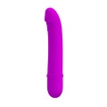  WIBRATOR Pretty Love BECK