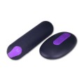 Lovetoy iJoy Remote Control Wibromajtki na pilota