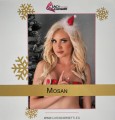 Livco Corsetti Mosan Spinka do włosów Mikołajka