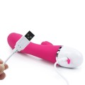 Lovetoy Dreamer II Wibrator Luksusowy Masażer USB