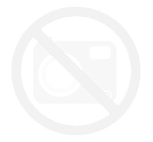 Lybaile strapon pretty love ULTRA PASSIONATE HARNESS 7.1" + 5.9"