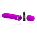  WIBRATOR Pretty Love BECK